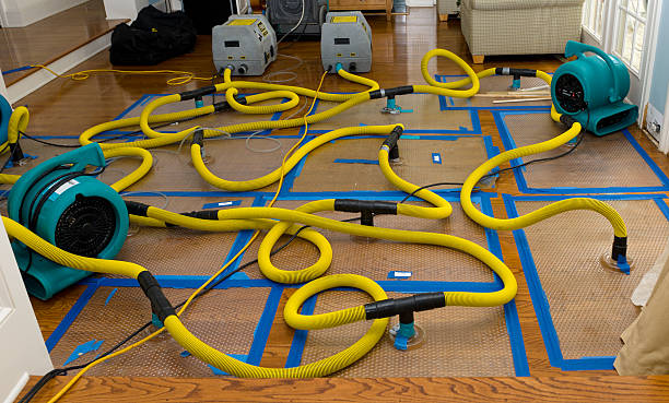 Professional Burst Pipe Water Damage technician working in Cochranville, PA